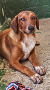 NUKA Imagen 2